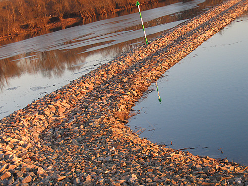 Hafenszene  in Germersheim