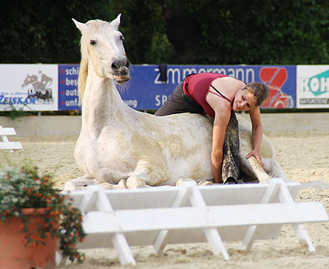 Spanische Pferde, Reitverein Zeiskam